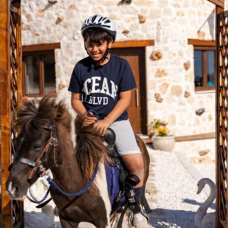 Villa Zante Hidden Hills