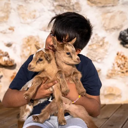 Zante Hidden Hills Villa Agios Nikolaos (Zakynthos)